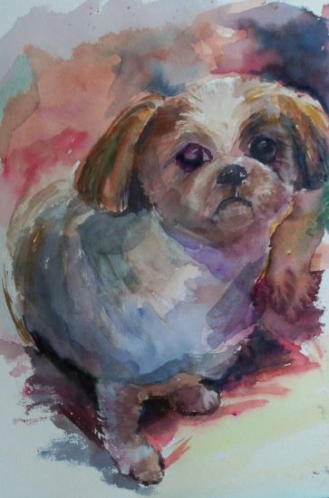 じゆんちやんの愛犬:水彩F6号 葛西朋子作品