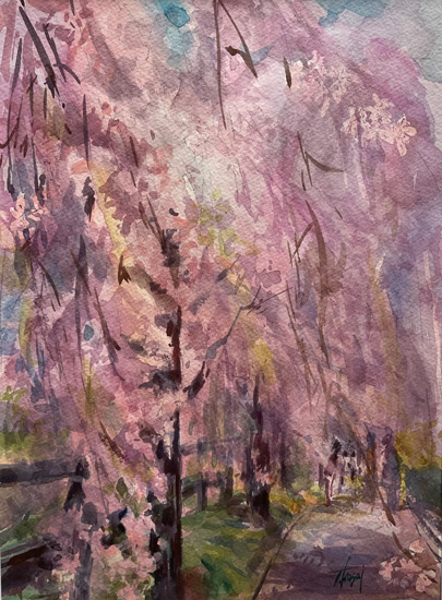 喜多方のしだれ桜:水彩F4号 葛西朋子作品