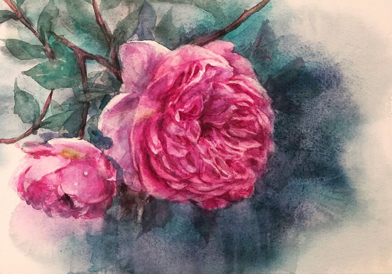 ナタリーの薔薇:水彩 SM 大澤睦子作品