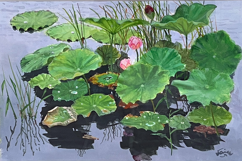 多多々良の蓮:水彩F4号 田島功一作品