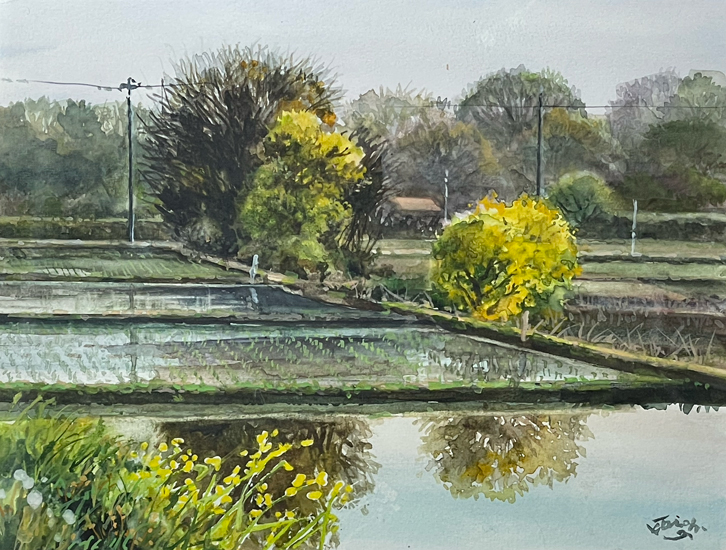 田植えの頃(板倉町):水彩SM 田島功一作品