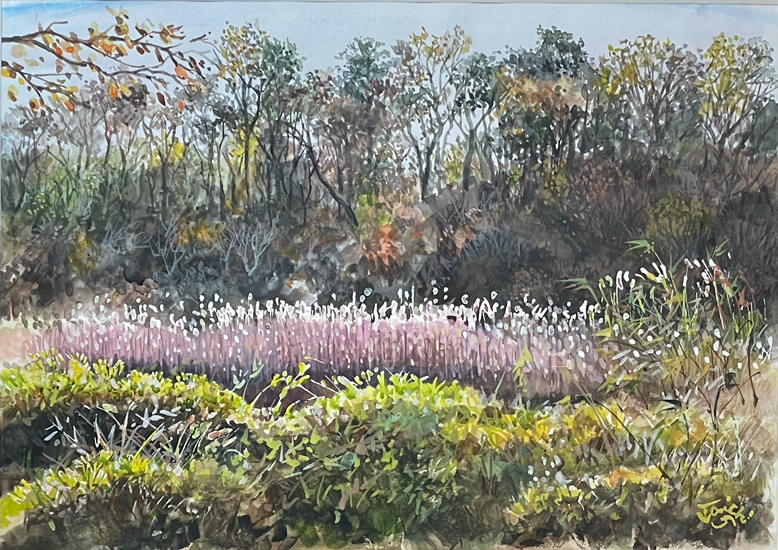 彦馬の秋:水彩F4号 田島功一作品