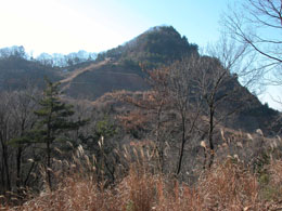 大坊山遠景